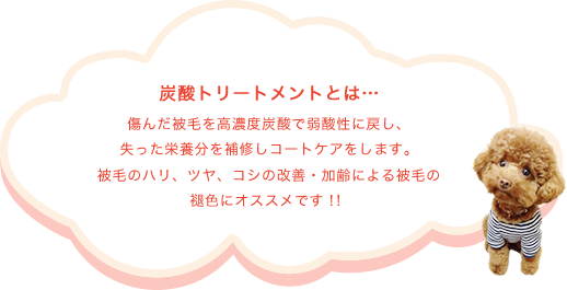 泥パックエステとは… 5ミクロン以下のマイナスイオン粒子の深海性泥が、毛穴の中までキレイに洗浄いたします！ツヤの無い仔・皮膚の弱い仔・ニオイの強い仔にぜひ！