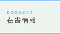 DOG＆CAT 在舎情報