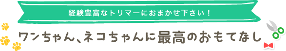 経験豊富なトリマーにおまかせ下さい！　ワンちゃん、ネコちゃんに最高のおもてなし