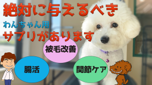 バリアサプリ_犬用_解説