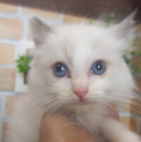 DSCF1721